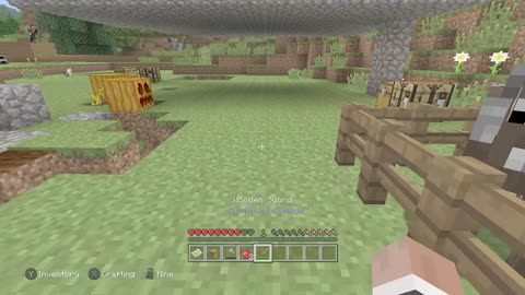 Minecraft gameplay