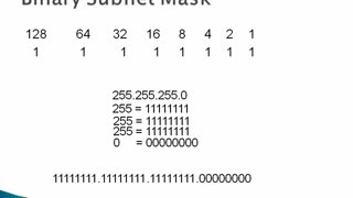 Binary Numbers