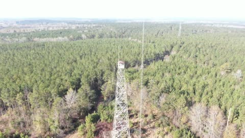 Allison Fire Tower