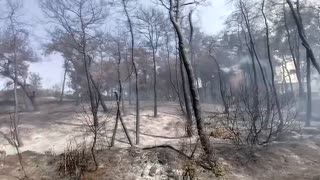 Massive wildfire in southern Turkey spreading to homes