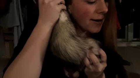 Ferret phone