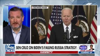 Senator Ted Cruz (R-TX) Discusses President Biden's Recent Gaffes on Hannity