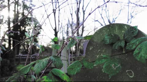 Top 10 4 Highgate Cemetery, London, England Horror stories