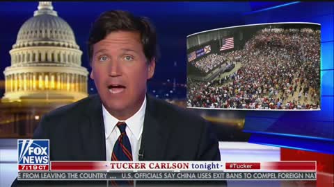 Tucker Carlson tears into Rick Wilson