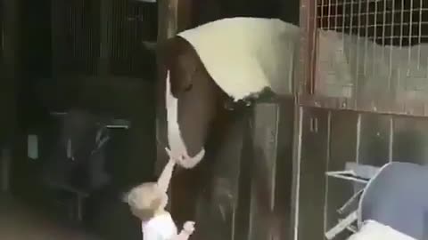 My kid is a real horse lover