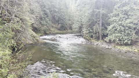 Pristine & Crystal Clear Wild & Scenic Salmon River – Mount Hood – 4K