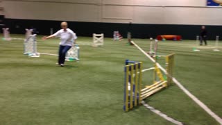 Tanner - Master JWW --agility