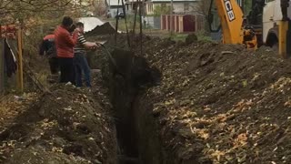 Cow Trapped in Construction Trench