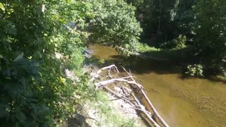 Augusta-Anne Olsen Preserve, River