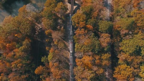 Aerial view of forest trails
