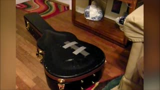 Cat Gets Trapped In Guitar Case