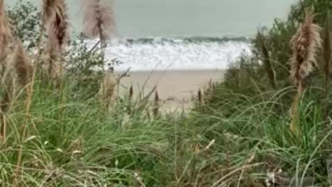 Fog rolling in at the beach, so relaxing.