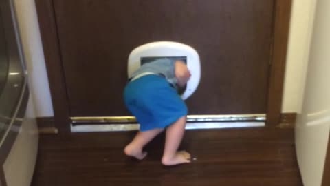 Toddler Escapes Through Cat Door