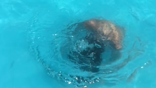 Hair flip in pool