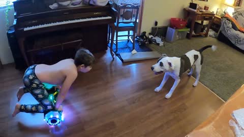 Dog vs. hoverboard