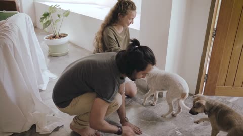 Man And Woman Playing With Dogs