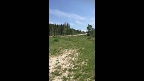 Police Chase on a Dirt Road in Hinton, Canada