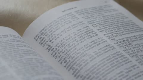 Faith, Wisdom, and More: 14 Reasons to Dive into the Bible Part 1