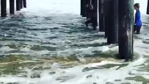 Two girls under wooden pier beams get washed away by high waves
