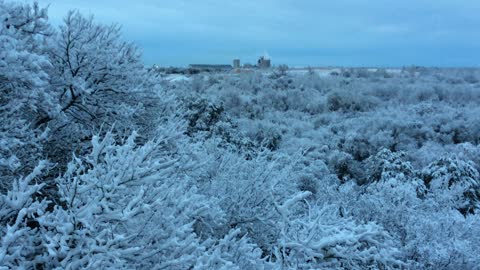 South Austin snow fall