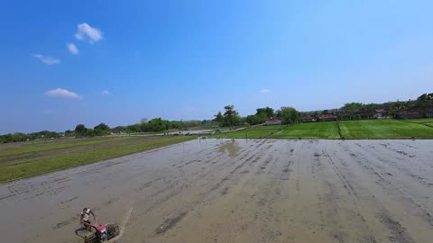 DJI AVATA Drone Footage Farmers start planting season