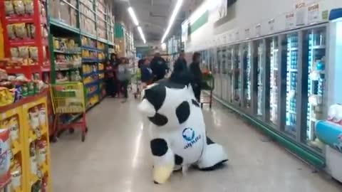 Cow jump in supermarket