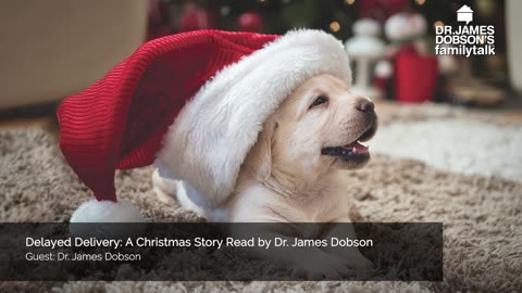 Delayed Delivery: A Christmas Story Read by Dr James Dobson