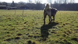 Honey in the countryside