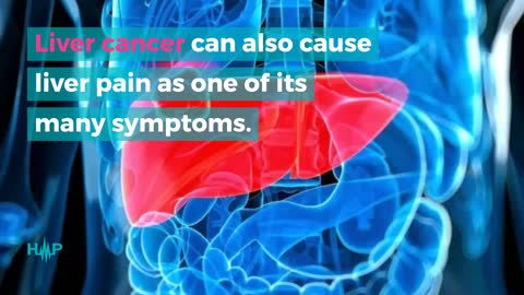 Guide To The Causes Of Liver Pain