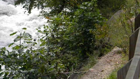 Roaring Mountain Stream