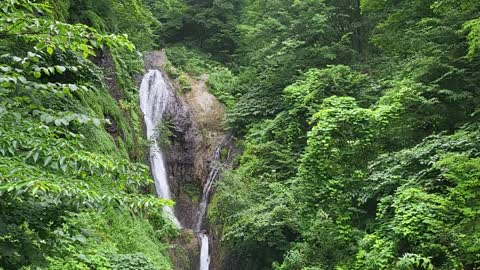 A cool waterfall in Ulleung island, Korea