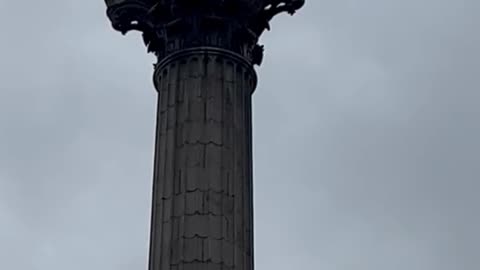 How Much is Nelson’s Column Worth? #history #historyshorts #nelson