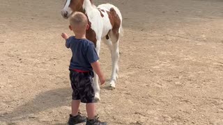 Boy And Foal Share Special Bond