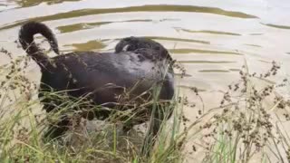 Having fun at the pond.