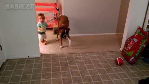Adorable babies playing with dogs and cats