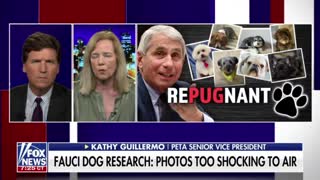 Seriously? Pup-Killing Dr. Fauci Needs to Go!