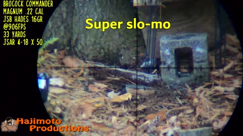 Hajimoto Pesting - Vole Kill #31