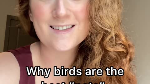 Here's why birds make the BEST pets: