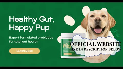 Wild Belly Dog Probiotic Supplement Reviews (True Canine) Quality Supplement?