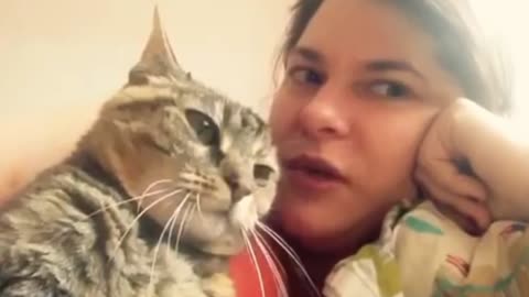 Talking cat says NO!to kisses on the head - Gato falante diz NÃO! para beijos na cabeça