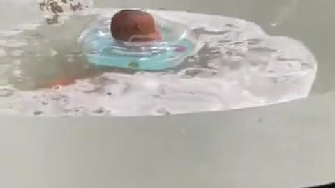 Cute baby in the hot pool.
