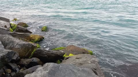 Calm sea waves hitting the beach on the rocks