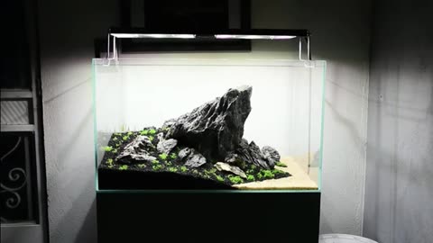 Aquascape "Rocky Valley"