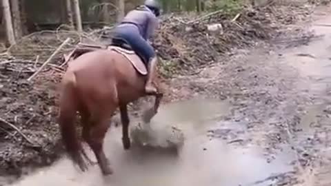 When you discover muddy puddles…🤣🐴