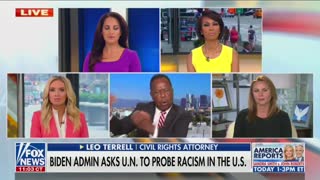 Leo Terrell criticizes UN racism investigation