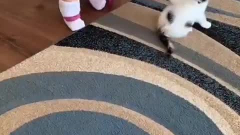 adorable baby plays with kitten