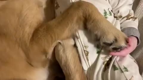 Baby Sleeping With Dog