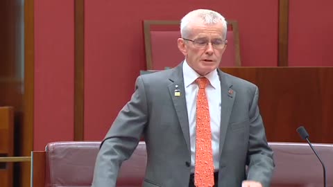 Malcolm Roberts hit at Queensland health system demise by government