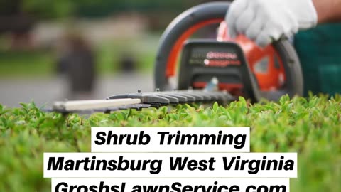 Shrub Trimming Martinsburg West Virginia Landscape Company