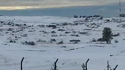 Punta Arenas en invierno